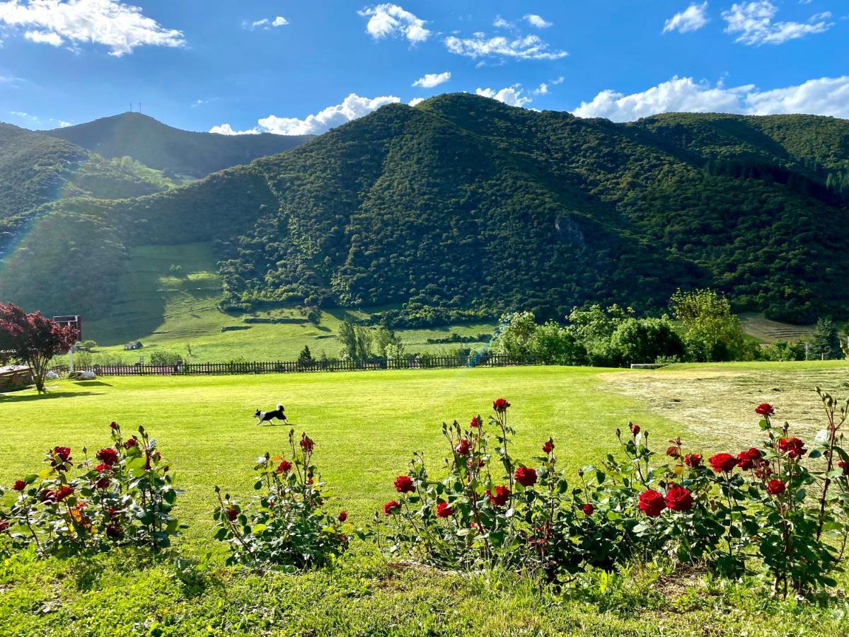 Casa Rural Alquitara Ojedo Eksteriør billede